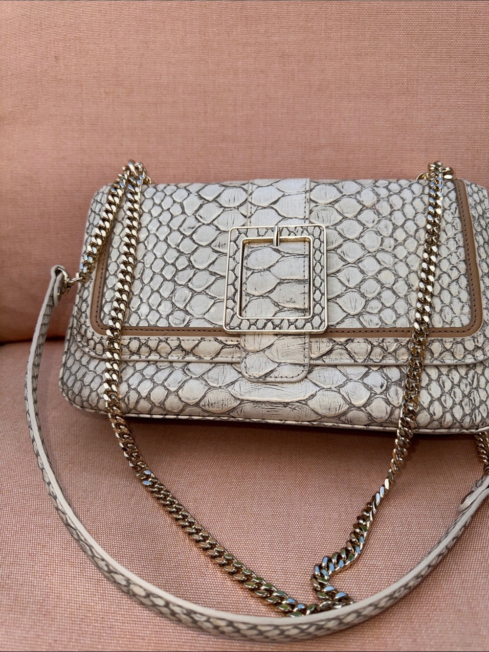 Brahmin Rosalie Oyster Grey Ellacoya Bag with Gold chain - Picture 4 of 13